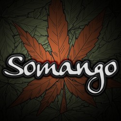 Somango (PROXIMAMENTE)